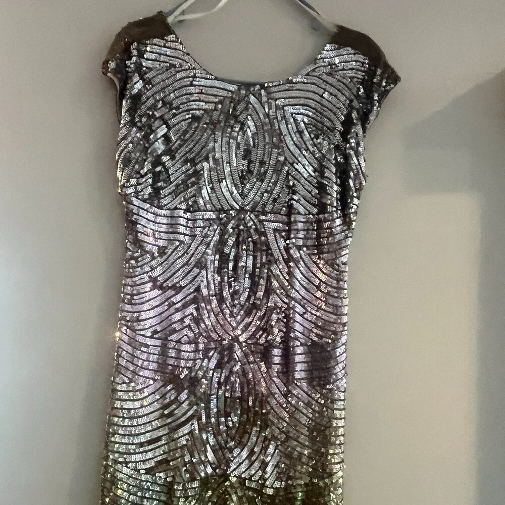 Beautiful Sequence Gold and Silver Dress